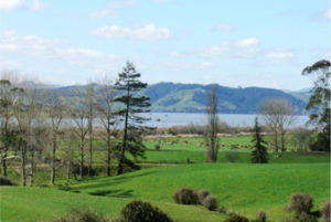 Lake Waikare