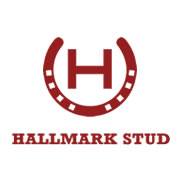 Hallmark Stud